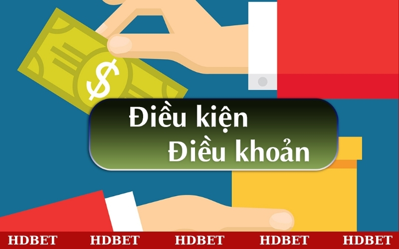 Quy định về điều kiện điều khoản đối với quyền và nghĩa vụ